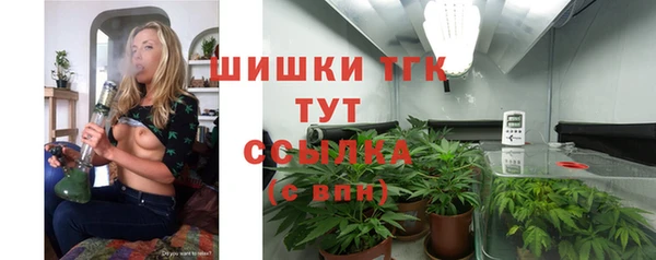 трава Арсеньев