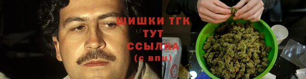 трава Арсеньев