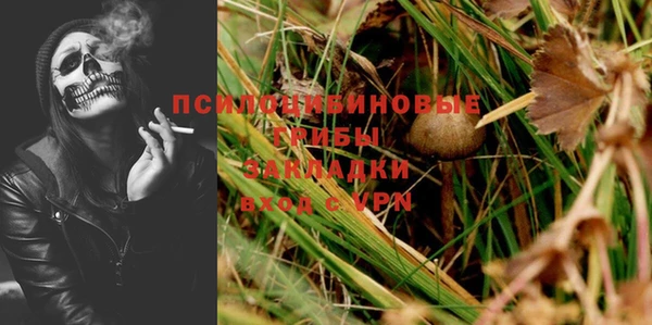 крисы Аркадак