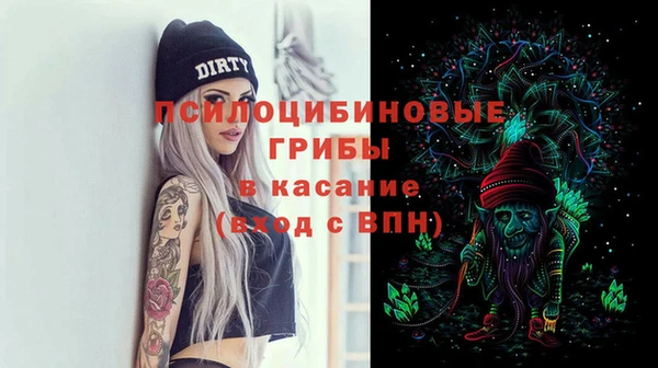 трава Арсеньев