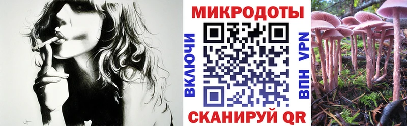 Псилоцибиновые грибы ЛСД  ОМГ ОМГ ссылки  Шадринск 
